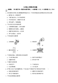 广东省深圳市光明区2025年九年级上学期化学试题附答案