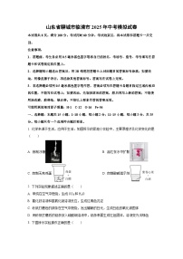 山东省聊城市临清市2025年中考模拟化学试卷（学生版）