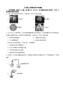 山东省济南市2025年九年级上学期月考化学月考试题附答案