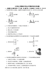 湖南省2025年九年级上学期初中学业水平模拟考试化学试题附答案