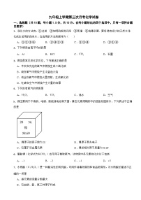 广东省深圳市龙华区2025年九年级上学期第三次月考化学试卷附答案