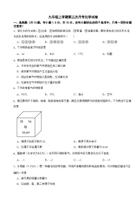 广东省深圳市龙华区2025年九年级上学期第三次月考化学试卷附答案
