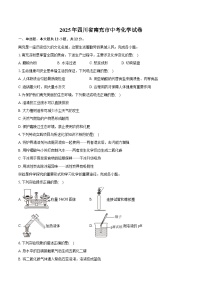 2025年四川省南充市中考化学试卷（含详细答案解析）