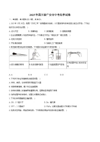 2025年四川省广安市中考化学试卷（含详细答案解析）