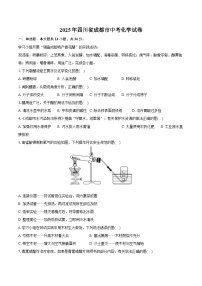 2025年四川省成都市中考化学试卷（含详细答案解析）