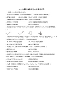 2025年四川省泸州市中考化学试卷（含详细答案解析）