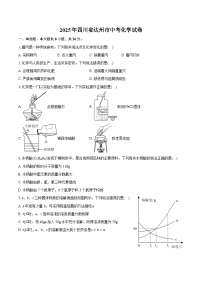 2025年四川省达州市中考化学试卷（含详细答案解析）