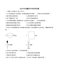 2025年安徽省中考化学试卷（含详细答案解析）