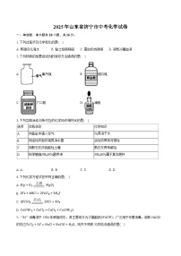 2025年山东省济宁市中考化学试卷（含详细答案解析）
