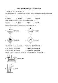 2025年山东省潍坊市中考化学试卷（含详细答案解析）