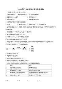 2025年广东省深圳市中考化学试卷（含详细答案解析）