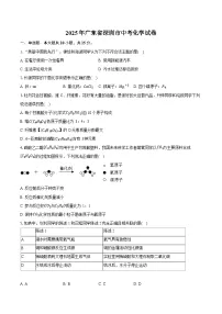 2025年广东省深圳市中考化学试卷（含详细答案解析）