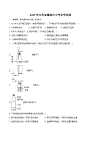 2025年江苏省南通市中考化学试卷（含详细答案解析）
