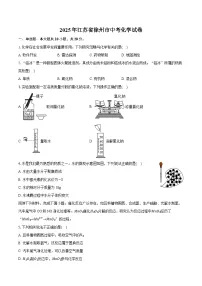 2025年江苏省徐州市中考化学试卷（含详细答案解析）