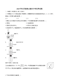 2025年江苏省连云港市中考化学试卷（含详细答案解析）