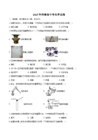 2025年河南省中考化学试卷（含详细答案解析）