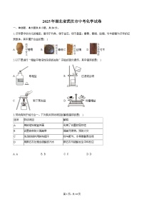 2025年湖北省武汉市中考化学试卷（含详细答案解析）