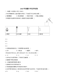 2025年西藏中考化学试卷（含详细答案解析）