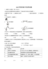2025年贵州省中考化学试卷（含详细答案解析）