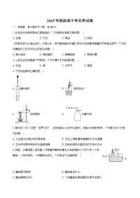2025年陕西省中考化学试卷（含详细答案解析）