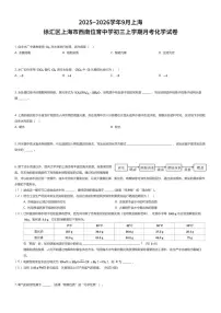 2025~2026学年9月上海徐汇区上海市西南位育中学初三上学期月考化学试卷（有答案解析）