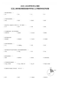 2025~2026学年9月上海徐汇区上海市南洋模范初级中学初三上学期月考化学试卷（有答案解析）