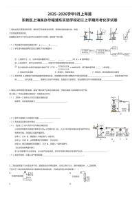2025~2026学年9月上海浦东新区上海民办华曜浦东实验学校初三上学期月考化学试卷（有答案解析）