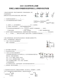 2025~2026学年9月上海浦东新区上海民办华曜浦东实验学校初三上学期月考化学试卷（有答案解析）