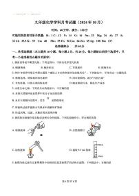 2024年济南市槐荫区育华中学初三化学上学期10月份月考试题及其答案