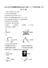 2025-2026学年新疆和田地区皮山县九年级（上）月考化学试卷（9月份）（C卷）-自定义类型