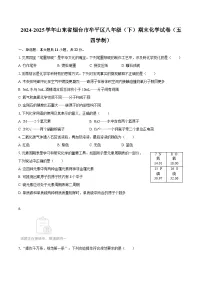 2024-2025学年山东省烟台市牟平区八年级（下）期末化学试卷（五四学制）-自定义类型