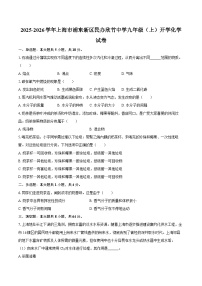 2025-2026学年上海市浦东新区民办欣竹中学九年级（上）开学化学试卷-自定义类型