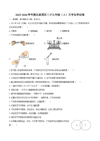 2025-2026学年湖北省武汉二中九年级（上）月考化学试卷-自定义类型
