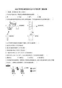 2025年河北省张家口五中中考化学二模试卷-自定义类型