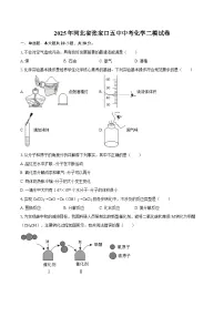 2025年河北省张家口五中中考化学二模试卷-自定义类型