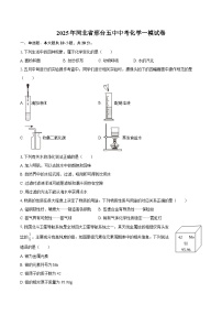 2025年河北省邢台五中中考化学一模试卷-自定义类型