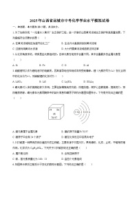 2025年山西省运城市中考化学学业水平模拟试卷（有答案）