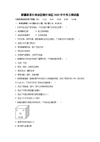 新疆维吾尔自治区喀什地区2025年中考三模化学试卷（学生版）