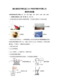 湖北省武汉市硚口区2025年部分学校中考第二次模拟考试化学试卷（学生版）