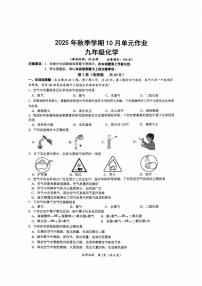 广西南宁市天桃实验学校2025-2026学年九年级上学期10月月考化学试题