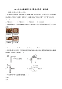 2025年山东省德州市庆云县中考化学二模试卷-自定义类型