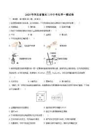 2025年河北省衡水三中中考化学一模试卷-自定义类型