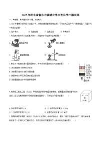 2025年河北省衡水市桃城中学中考化学二模试卷-自定义类型