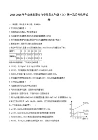 2025-2026学年山东省泰安市宁阳县九年级（上）第一次月考化学试卷-自定义类型