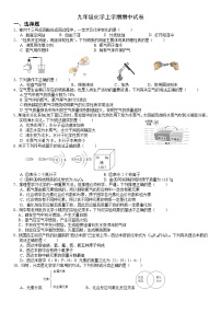 湖北省武汉市2023-2024学年九年级上学期期中模拟化学试卷