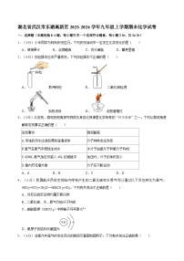湖北省武汉市东湖高新区2023-2024学年九年级上学期期末化学试卷