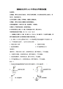 湖南省长沙市2025年初中学业水平模拟化学试卷（解析版）