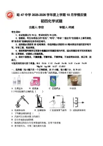 2025年哈尔滨市47中学九年级上学期9月月考化学试题及答案