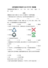 江苏省扬州市高邮市2025年中考一模化学试卷（学生版）