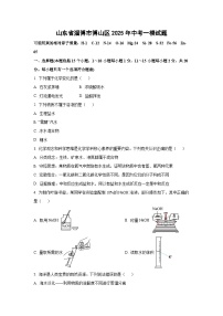 山东省淄博市博山区2025年中考一模化学试卷（学生版）